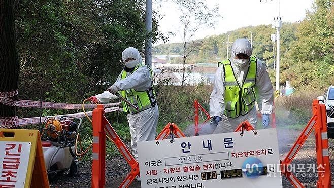 럼피스킨 방역모습 