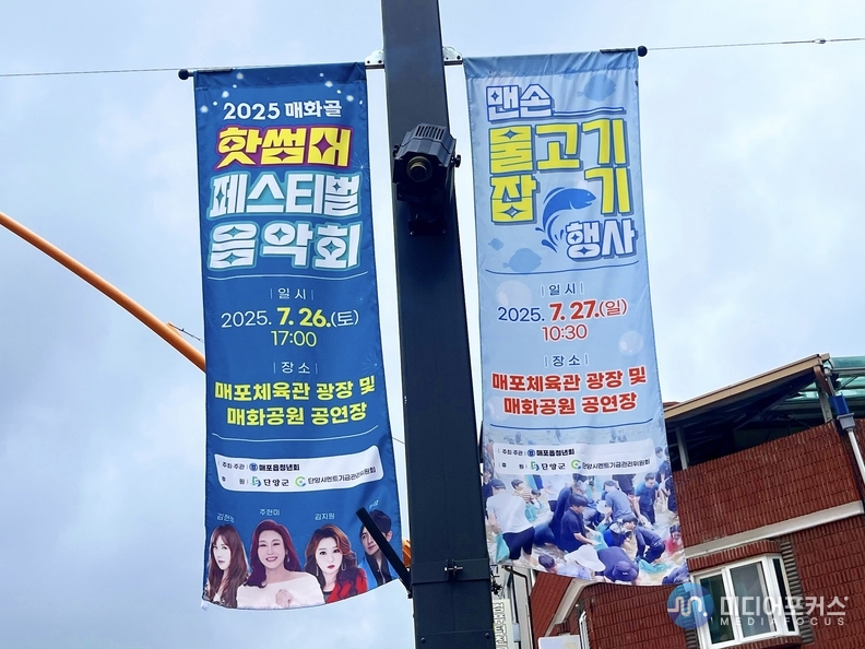 거리 가로등에 게첨된 플래그 배너모습(단양군)