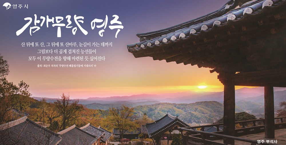 배너