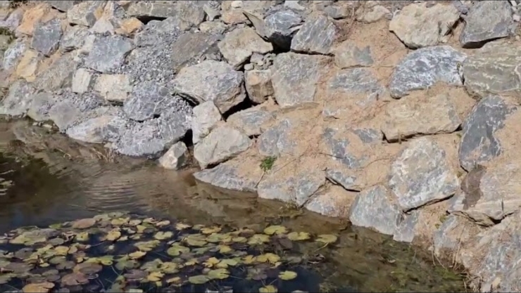 [김병호 칼럼] 제천시, 왕암동 비점오염 공사, 173억 원 어디로 갔나?