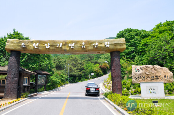 소선암 자연 휴양림(사진=단양군) 소선암 자연 휴양림(사진=단양군)
