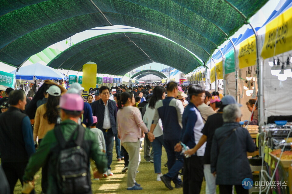 영주 풍기인삼축제장 방문객들(영주시) 영주 풍기인삼축제장 방문객들(영주시)