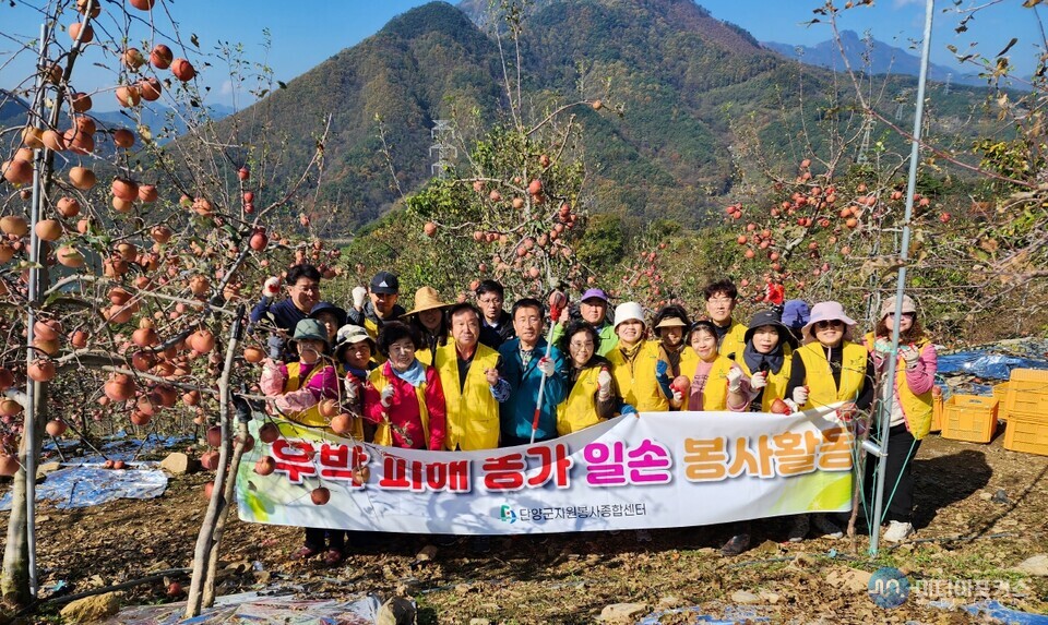 우박 피해 농가 일손돕기 모습(단양군) 우박 피해 농가 일손돕기 모습(단양군)