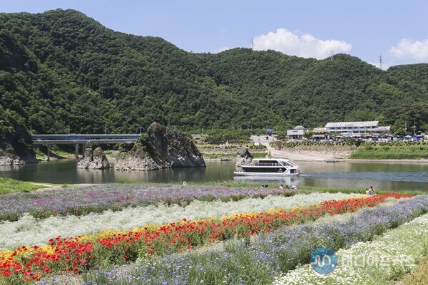 도담정원에서 바라본 도담삼봉(단양군) 도담정원에서 바라본 도담삼봉(단양군)